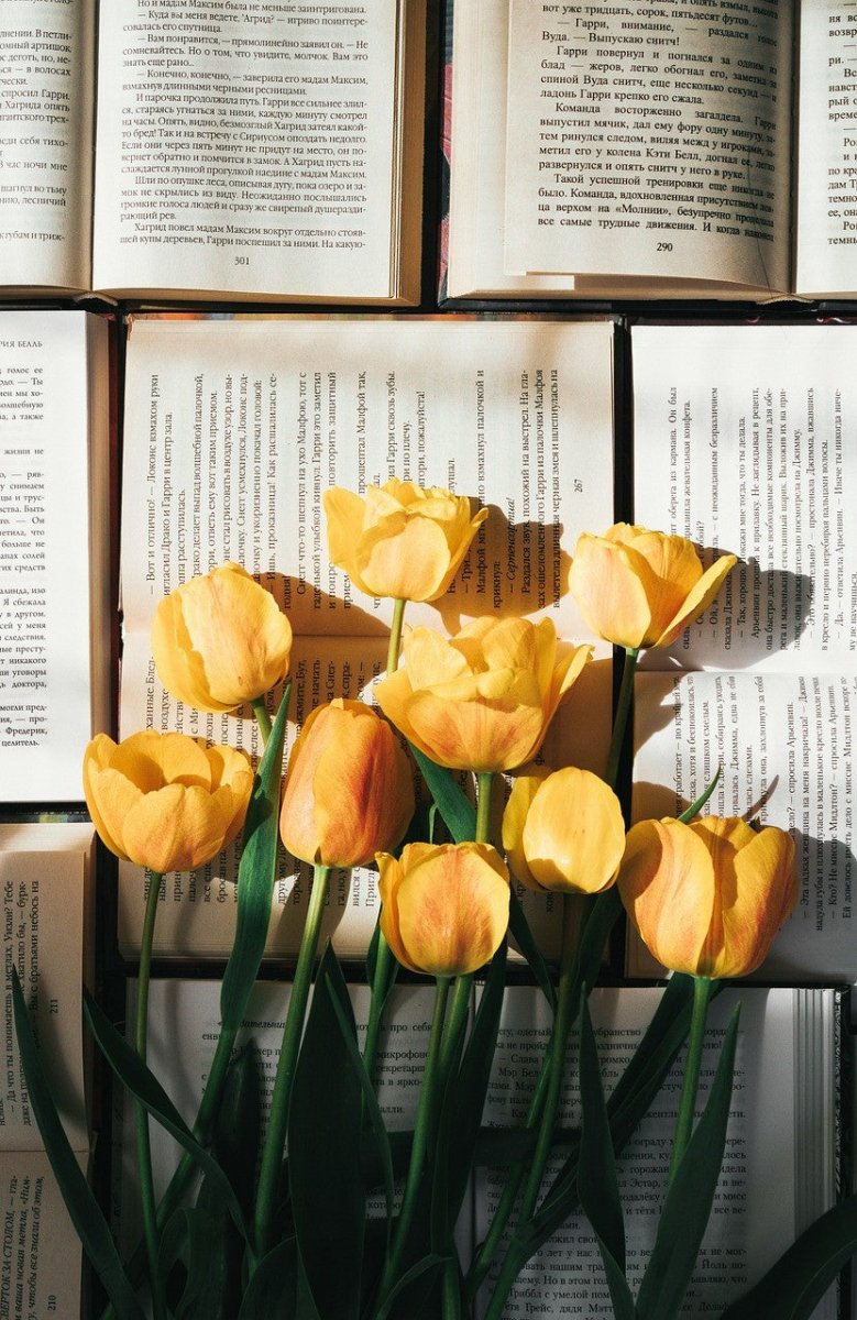 The Portrayal of Mothers in Literature and Media – Wolfie Kids