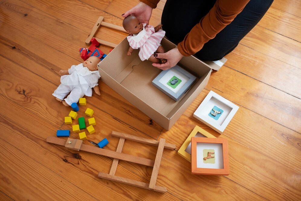 Infant Development: The Rational Constructivist Approach - Wolfie Kids