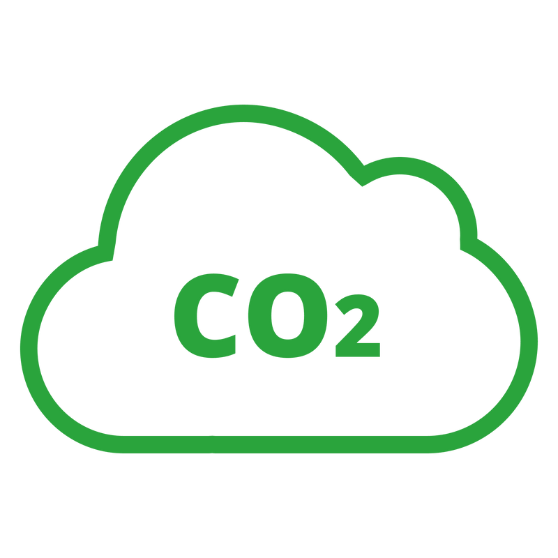 ∙ Carbon Offset - Wolfie Kids